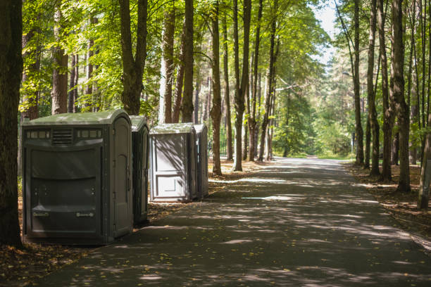 Best Affordable porta potty rental  in Mayville, ND